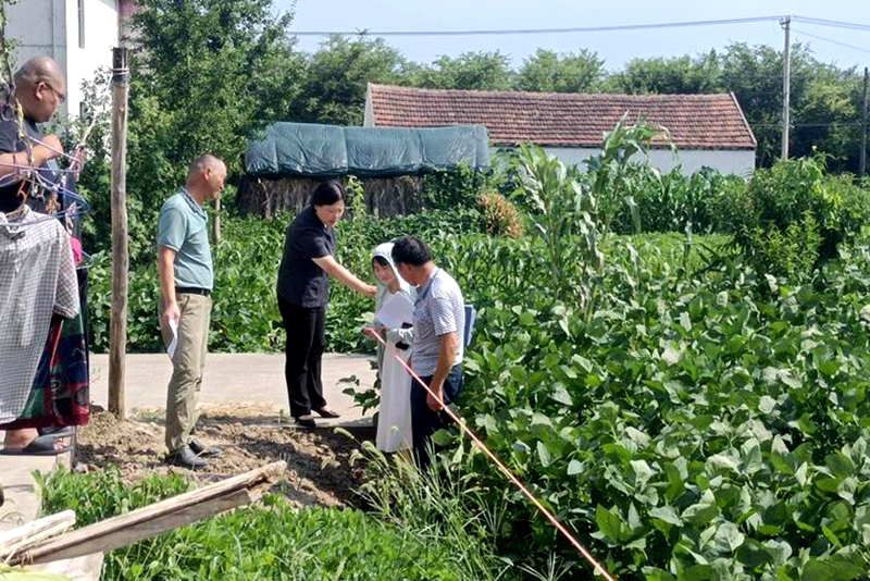 法官頂著烈日在田間測量流轉(zhuǎn)土地.jpg